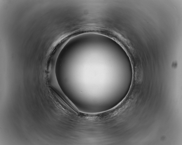 X0000098201453200805011136