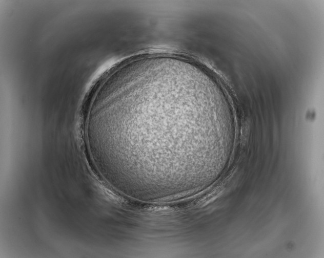 X0000098201454200805011136