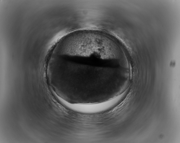 X0000098201455200805011136