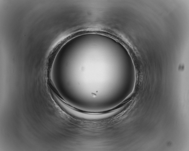X0000098201456200805011136