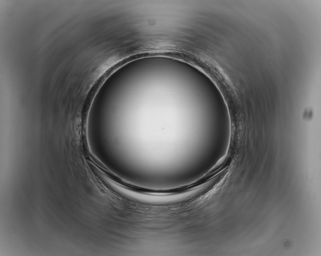 X0000098201457200805011136