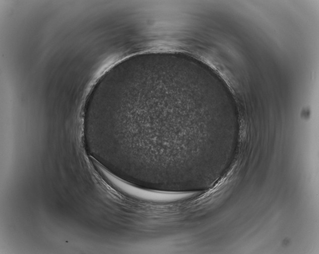 X0000098201459200805011135