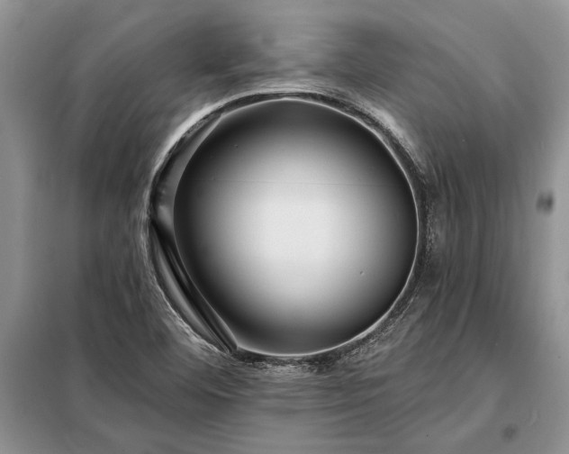 X0000098201460200805011135