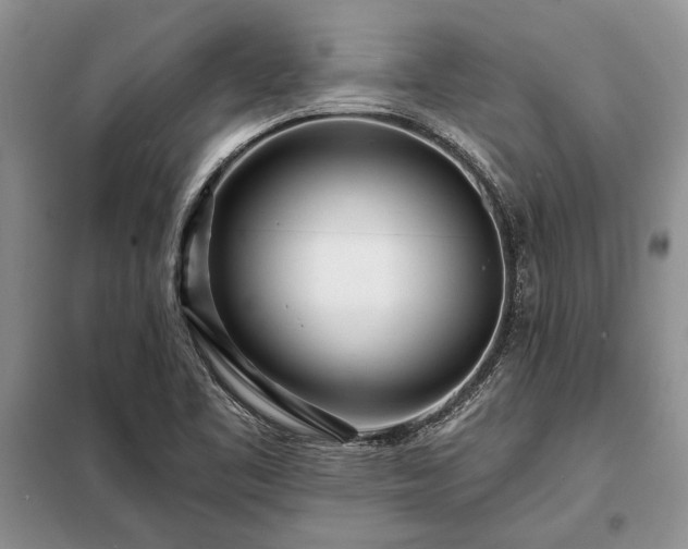 X0000098201461200805011135