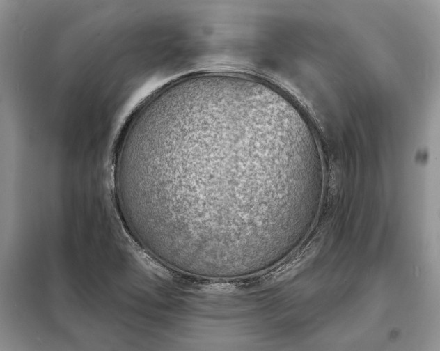 X0000098201462200805011135