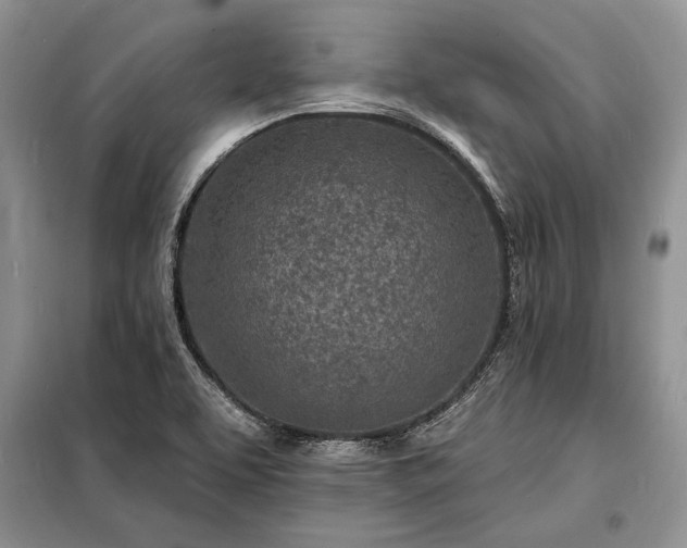 X0000098201463200805011135