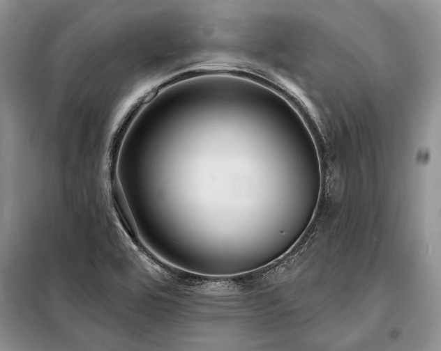 X0000098201464200805011135