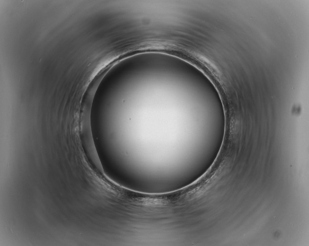 X0000098201465200805011135