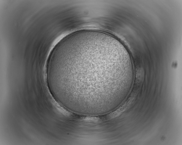 X0000098201466200805011135