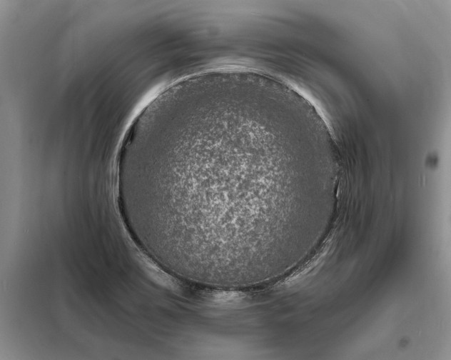 X0000098201467200805011135
