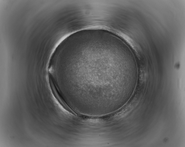X0000098201468200805011135