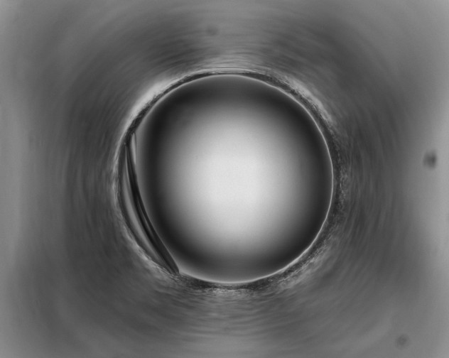 X0000098201469200805011135