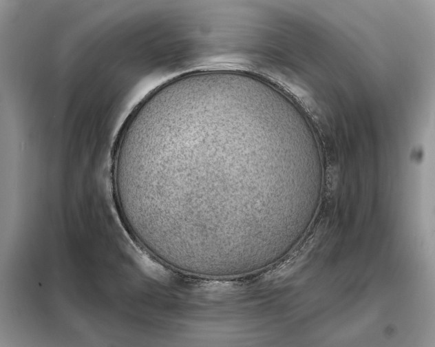 X0000098201470200805011135