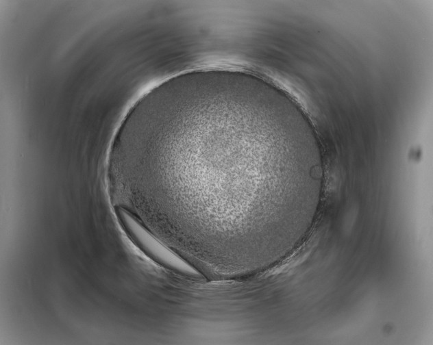 X0000098201471200805011135