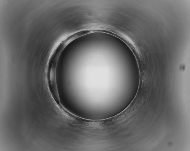 X0000098201472200805011135