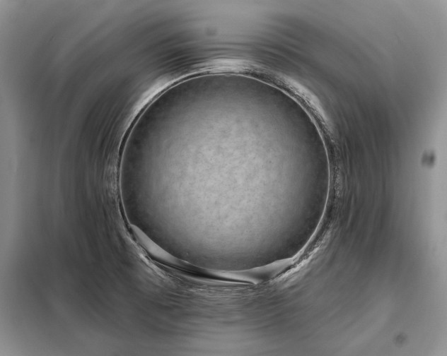 X0000098201473200805011135