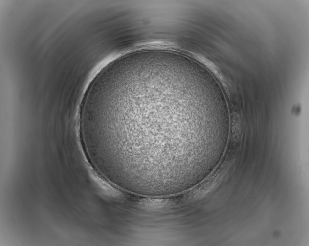 X0000098201474200805011135