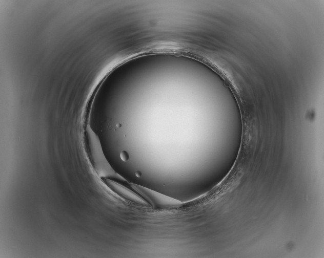 X0000098201475200805011135