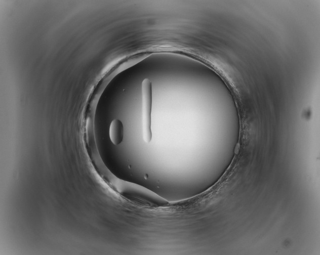 X0000098201476200805011135