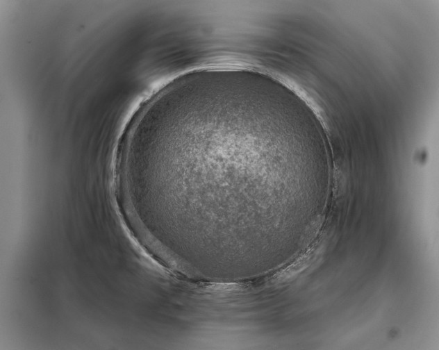 X0000098201477200805011135