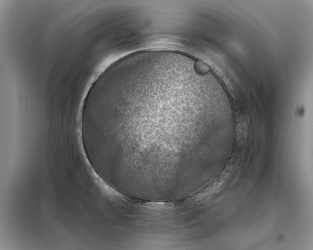 X0000098201478200805011135