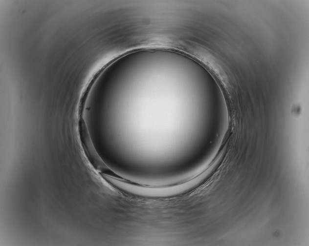 X0000098201480200805011135