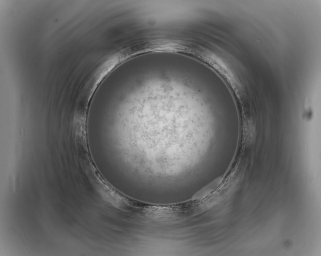 X0000098201481200805011135