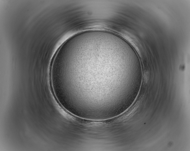 X0000098201482200805011135