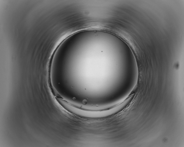 X0000098201483200805011135