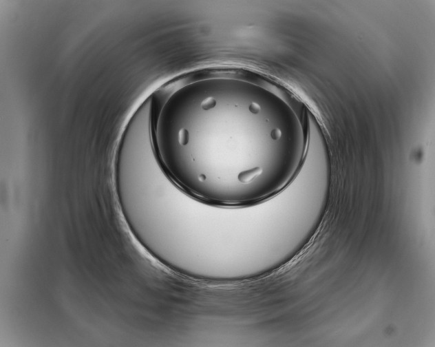 X0000098201484200805011135
