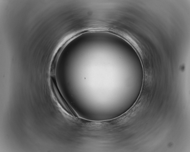 X0000098201485200805011135