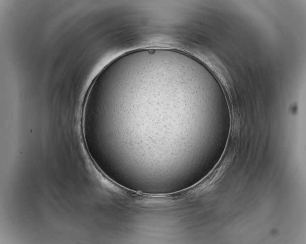 X0000098201486200805011135