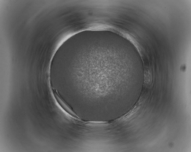 X0000098201487200805011135