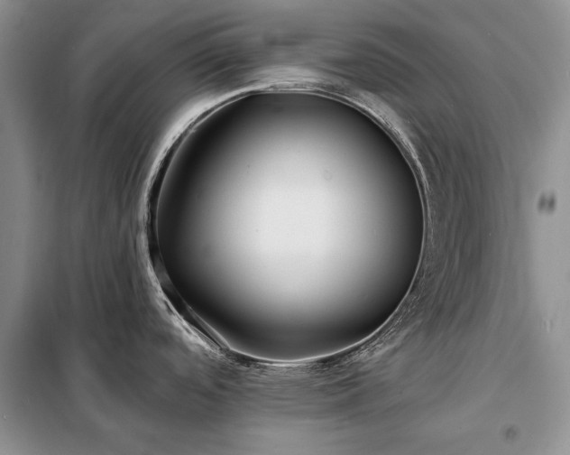 X0000098201488200805011135
