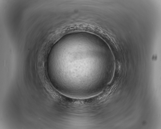 X0000098201489200805011134