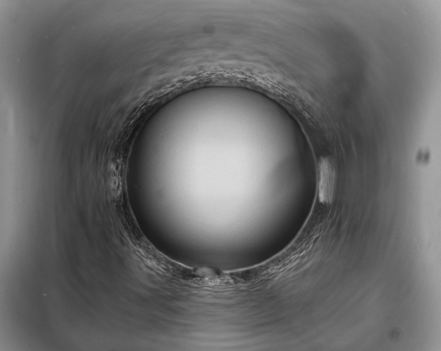 X0000098201491200805011134