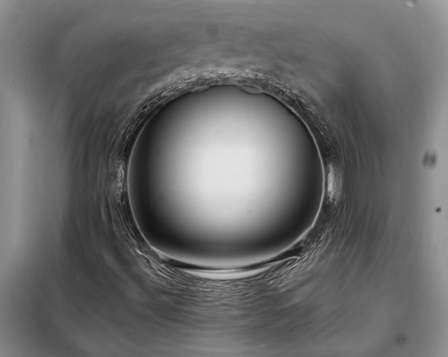 X0000098201492200805011134