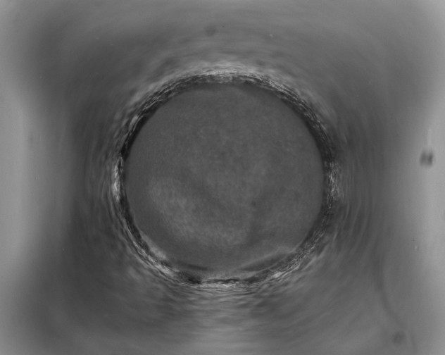 X0000098201493200805011134