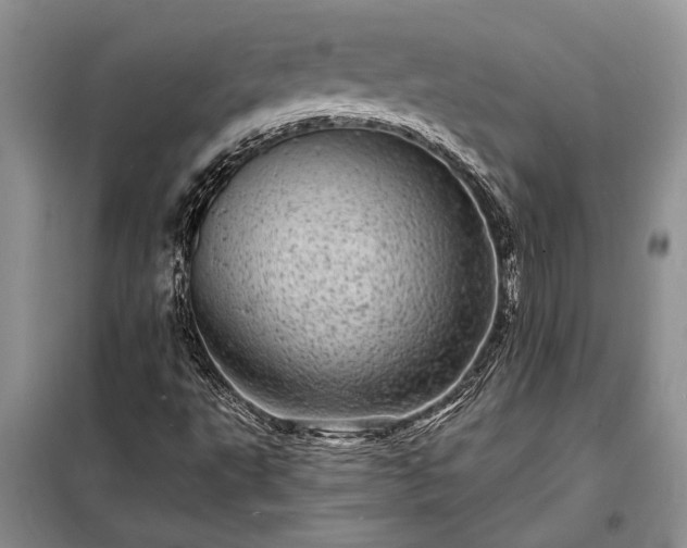 X0000098201495200805011135