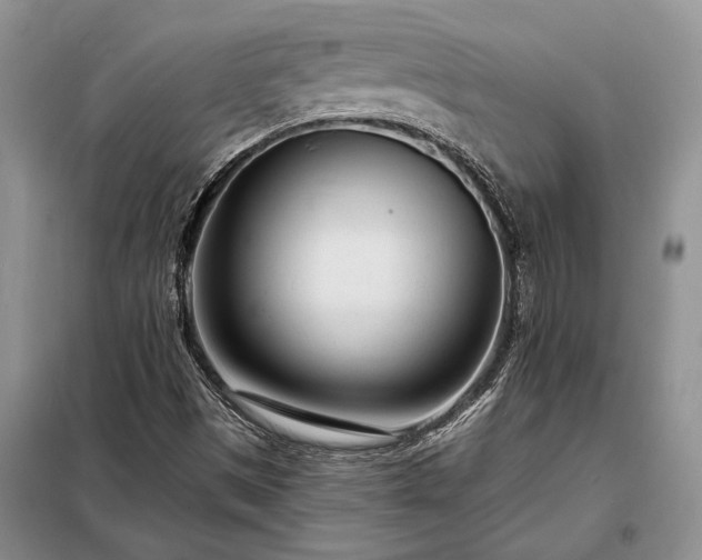 X0000098201497200805011135