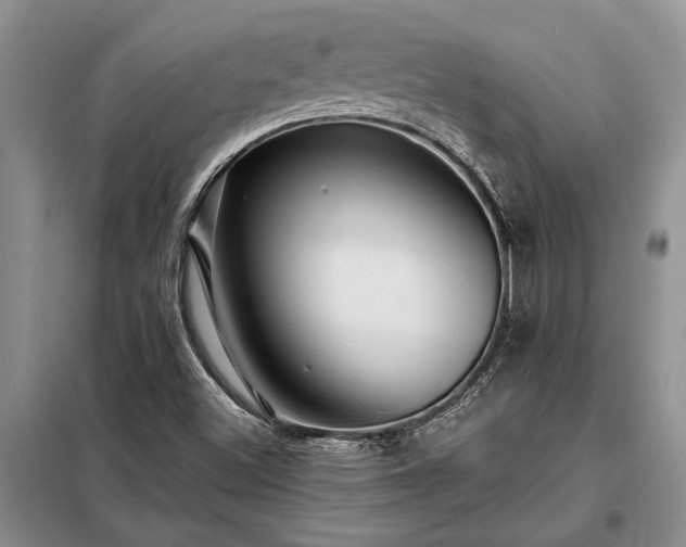 X0000098201500200805011135