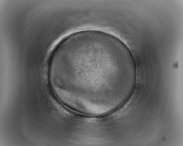 X0000098201502200805011135