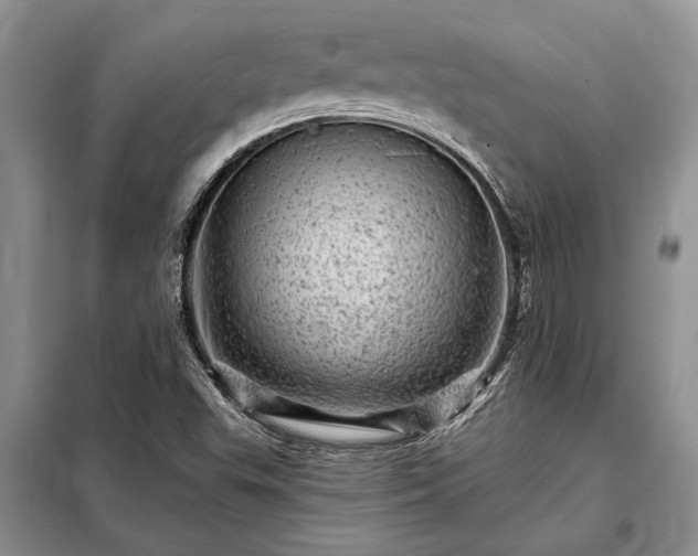 X0000098201503200805011135