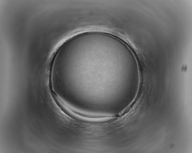 X0000098201504200805011135