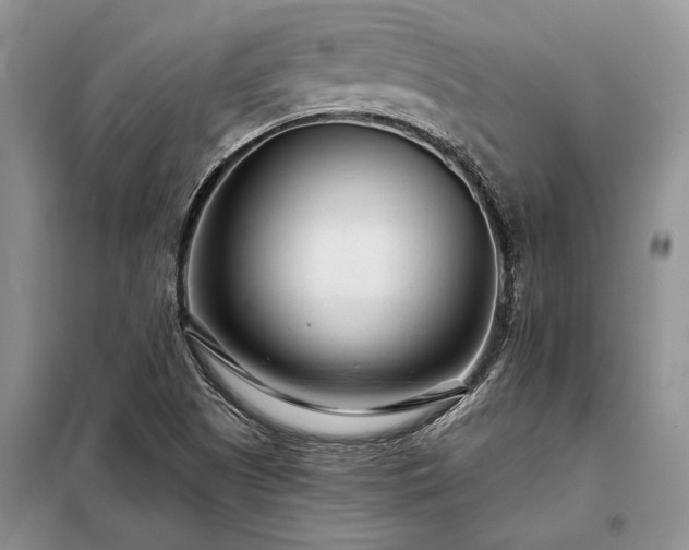 X0000098201505200805011135