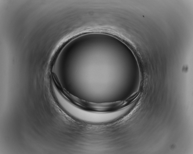 X0000098201506200805011135