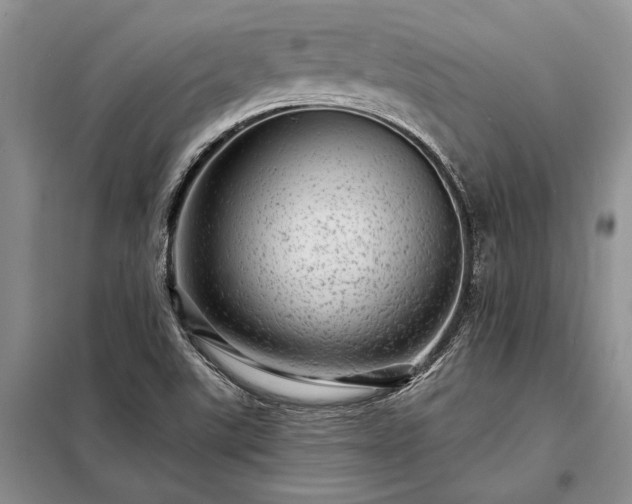 X0000098201507200805011135