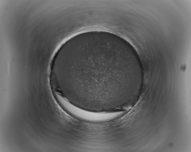X0000098201508200805011135