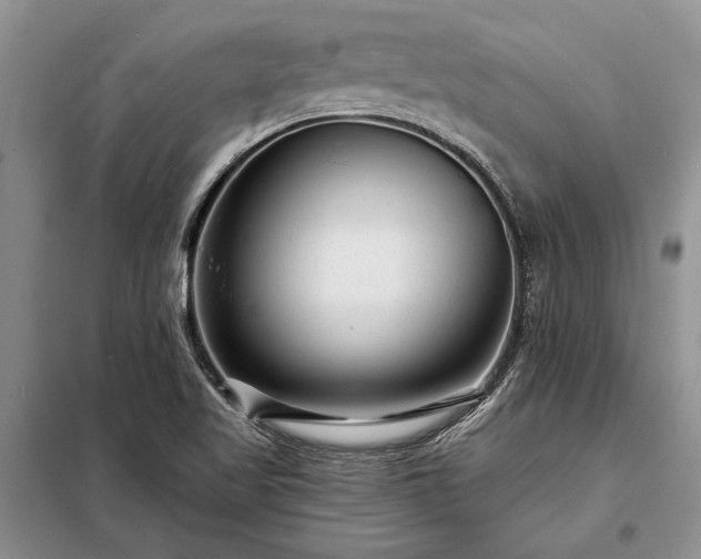 X0000098201509200805011135