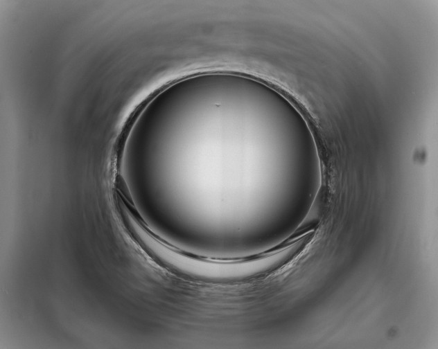 X0000098201510200805011135